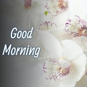 Simple-Good-Morning-Font-Images