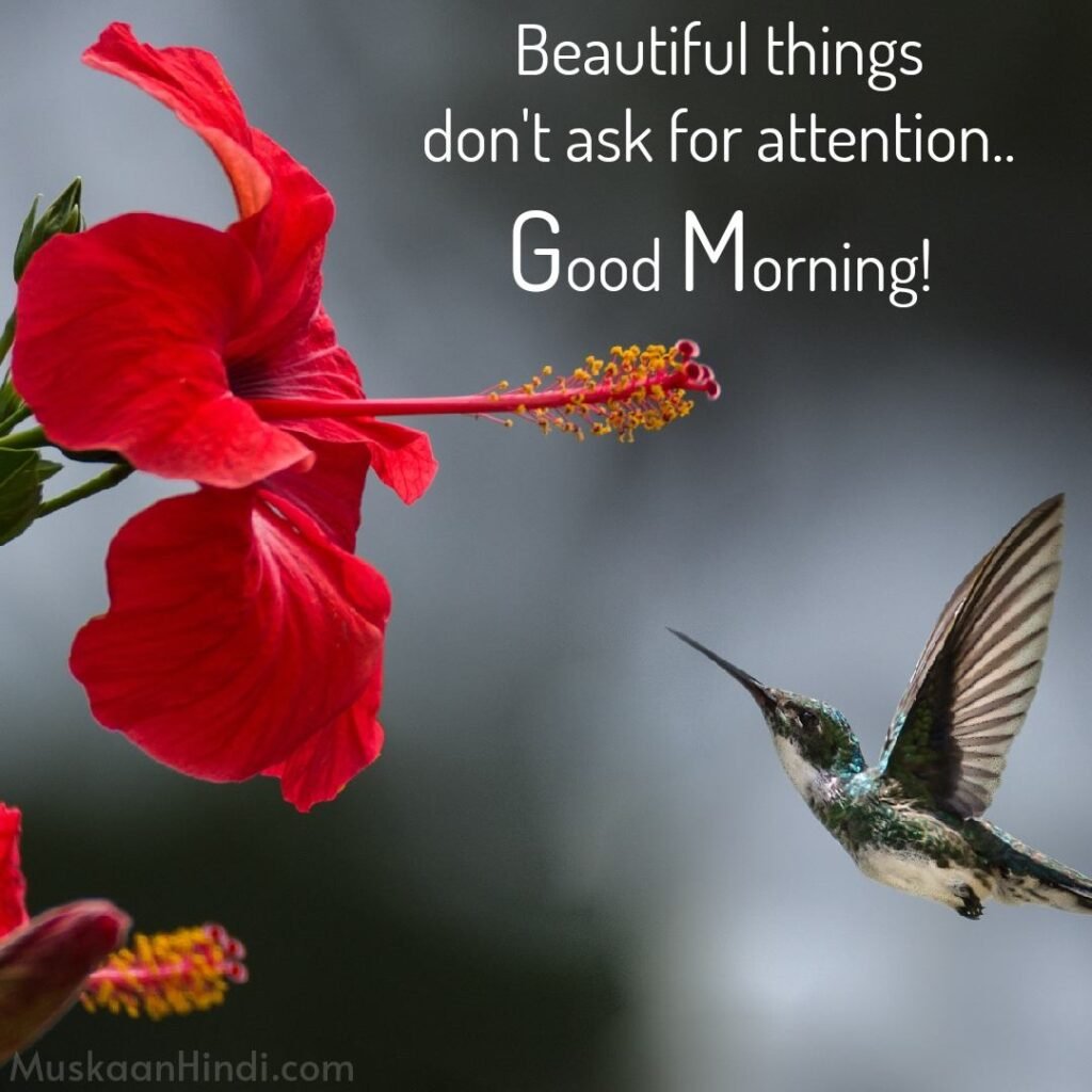 Best Beautiful Quotes on morning