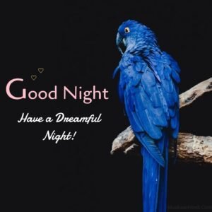 dreamful good night images