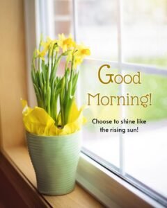 good morning look yellow flower pot images