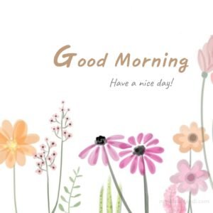 beautiful animated morning wish images