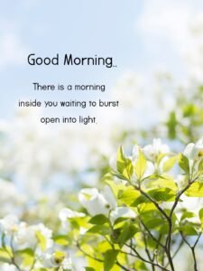 good morning quotes inspiring wish lines pic 