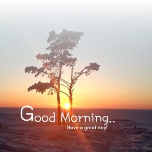 beautiful morning pics 101