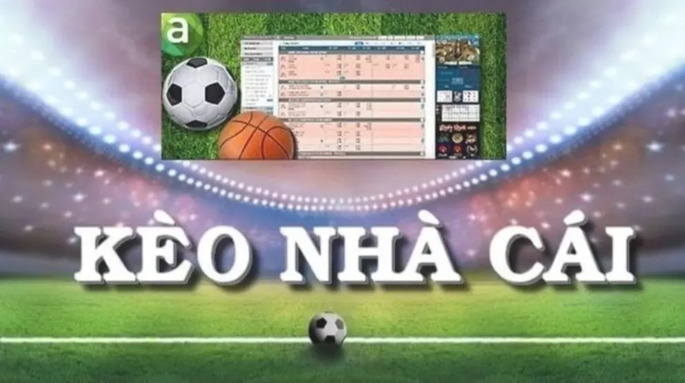 Discover Dabet - Your Ultimate Guide to Betting and Odds