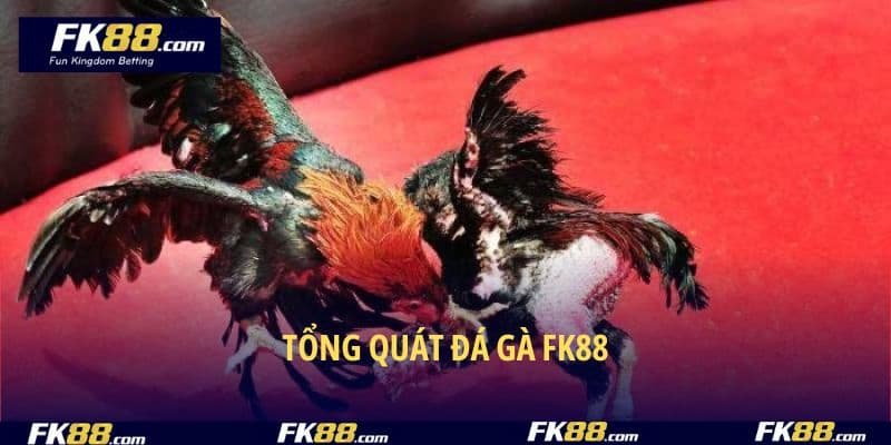 FK88 Cockfighting - The Easiest Lobby to Win Rewards 2025