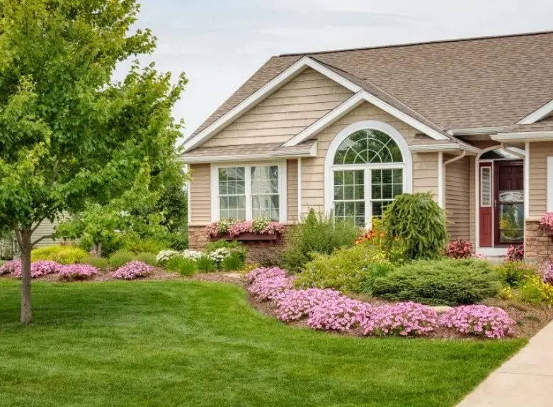 Simple Ways to Transform Your Yard with Expert Maintenance Services