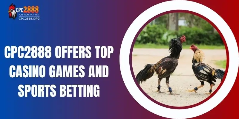 CPC2888 Offers Top Casino Games and Sports Betting