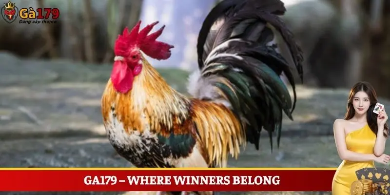 Ga179 – Where Winners Belong
