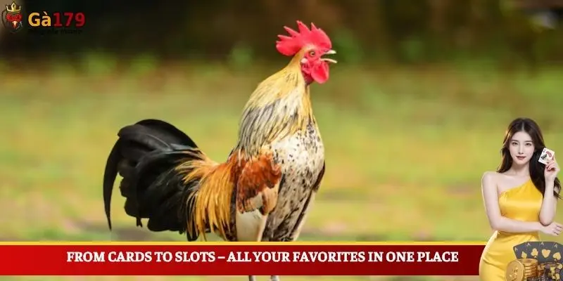 From cards to slots – all your favorites in one place