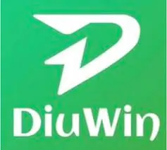 Diuwin Login Not Working? Here’s What to Do